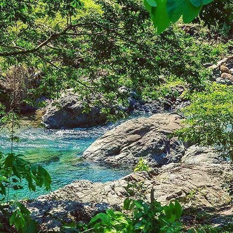 Portland Riverside Retreat Port Antonio Jamajka