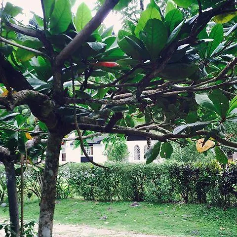 Portland Riverside Retreat Port Antonio 0*,  Jamajka